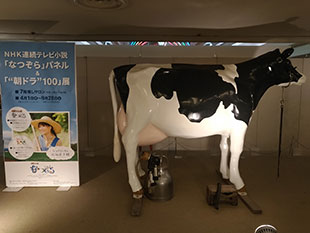 �эL���� �p�����C�^���A�t�F�A