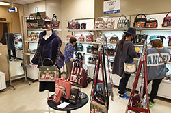 �����L���w�O�X�y�p���W�z