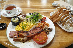 �V�h���c�}�y�p���W2022�z