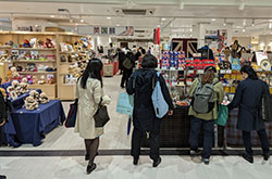 �V�h���c�}�y�p���W2023�z�`�Պ������O�`