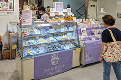 �V�h���c�}�y�p���W2024�z